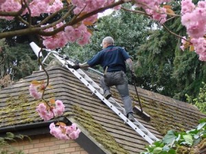 Manually scraping moss off a roof prior to soft washing -  All roof cleaning Services by Roof Repairs Belfast, Belfast, Northern Ireland