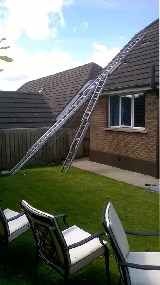 Roof pest control in  Belfast, NI by Roof Repairs Belfast