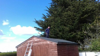 Replacing the felting on a Belfast Shed - all roof repair and maintenance services by  Roof Repairs Belfast, Northern Ireland