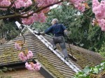 Roof Cleaning Preparation
