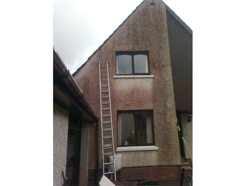 Before biocide cleaning by Roof Repairs Belfast, Belfast, NI