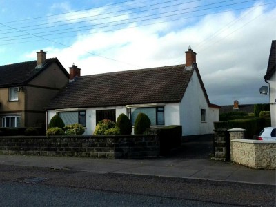 Before Biocide Roof Treatment by Roof Repairs Belfast, Northern Ireland Before Biocide Roof Treatment by Roof Repairs Belfast, Northern Ireland