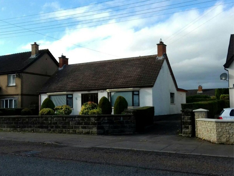 Before Biocide Roof Treatment by Roof Repairs Belfast, Northern Ireland