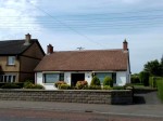 Biocide Roof Treatment
