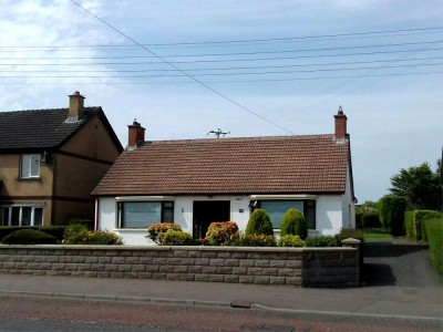 After Biocide Roof Treatment - one year on the roof has self-cleaned. Roof Repairs Belfast, Northern Ireland After Biocide Roof Treatment - one year on the roof has self-cleaned. Roof Repairs Belfast, Northern Ireland